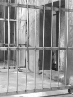 “成就”单独住在熊猫馆的内室，我们去看时，它趴在门口，一直盯着外面。记者 刘云 摄 - 浙江新闻网