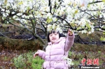 梨园中，小女孩与梨花亲密接触。　朱柳融　摄 - 浙江新闻网