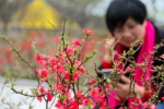 图为：游客正在园区内赏花。 马赛 摄 - 浙江新闻网