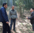 省林科院教授深入景宁县东坑镇指导毛竹林下种植多花黄精 - 林业厅
