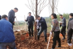 衢州市开展2018党政军领导义务植树活动 - 林业厅