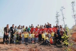 庆元县开展全民义务植树活动 - 林业厅