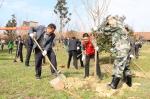 安吉县林业局推进植绿护绿共建全国文明城市、国家森林城市 - 林业厅