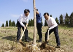 新昌县四套班子领导参加义务植树 掀起植树造林热潮 - 林业厅