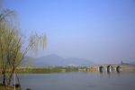 图为：杭州湘湖柳树变绿。 颜石斌（通讯员） 摄 - 浙江新闻网
