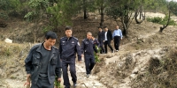 景宁县森林公安、检察院联合开展督促补植复绿工作 - 林业厅
