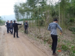 德清县林业局扎实做好政策性林木综合保险工作 - 林业厅