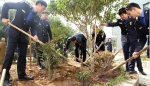 宁海县干群参加义务植树活动 - 林业厅