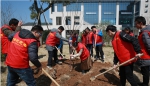 宁海县干群参加义务植树活动 - 林业厅