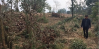 长兴森林公安首次办理一起故意损毁新种苗木的治安拘留案件 - 林业厅
