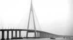 杭州湾跨海大桥再度火了 十年驶过1.2亿辆车 - 浙江新闻网