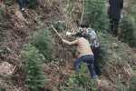 淳安汾口林业站着力开展春季绿化造林工作 - 林业厅