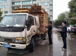 打击非法运输木材 切实维护生态安全 - 林业厅