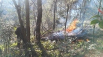 鹿城区严打违规野外用火，为森林消防安全保驾护航 - 林业厅