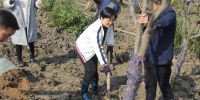 海盐县绿湿委动员全县力量开展植树造林活动 - 林业厅