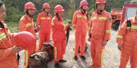 湖州市森林消防指挥部到长兴县检查指导清明期间森林消防工作 - 林业厅