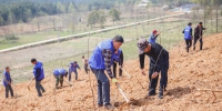 安吉县林业局践行生态林业推进补植复绿 - 林业厅