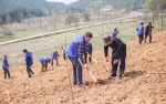 安吉县林业局践行生态林业推进补植复绿 - 林业厅