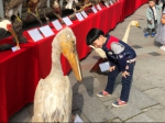 瑞安市举办2018年度“爱鸟周”活动 - 林业厅