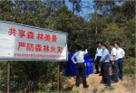 长兴县政府分管领导指导和调研清明森林消防等林业工作 - 林业厅