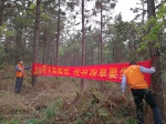 安吉县龙山林场全力抓好清明期间森林防火工作 - 林业厅