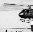 程伟士公司买的直升机正在作业。 程伟士供图 - 浙江新闻网