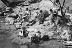 昨天下午，一群小学生在太子湾公园春游，一个小女孩在溪水中洗手。 记者 葛亚琪 摄 - 浙江新闻网