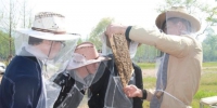 周振年正在听取养蜂专家邱汝民传授的养蜂技术。陈虹 摄 - 浙江新闻网