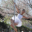 4月25日，长春市杏花村公园内杏花绽放，几名舞者在公园内跳起钢管舞，吸引市民观看。刘栋 摄 - 浙江网