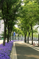 今年宁波将建成10个以上特色公园和20个街心花园 - 林业厅
