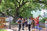 天台县政协调研古树名木保护工作 - 林业厅