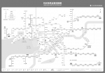 杭州地铁运营中路线图.png - 杭州网