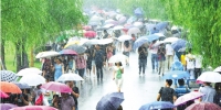 杭州：雨水驱高温 - 杭州网