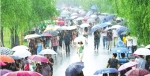 杭州：雨水驱高温 - 杭州网