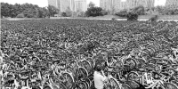 杭州8万共享单车携手下岗 待减单车命运如何 - 浙江新闻网