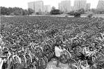 杭州8万共享单车携手下岗 待减单车命运如何 - 浙江新闻网