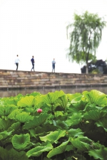送走今天这波雨 杭州的6月，开局将是完美的好天气 - 杭州网