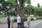 安吉县林业局赴青龙村解决古树难题 - 林业厅