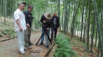 央视7套《绿色时空》栏目摄制组来遂昌拍摄毛竹鞭笋培育与采挖技术专题片 - 林业厅