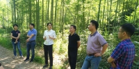 富阳区人大调研生态公益林建设管理情况 - 林业厅