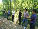 富阳区人大调研生态公益林建设管理情况 - 林业厅