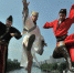 图为当代马可波罗身穿古装在拱宸桥上 张茵摄 - 浙江新闻网