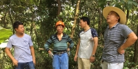 浦江又有4000亩森林提高了质量 - 林业厅