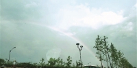 昨天你看到彩虹了吗？ 珍惜有雨的周末 - 杭州网