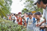 浙江省中小学生自然笔记大赛户外植物课堂开讲 - 杭州网