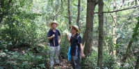 衢州市、县两级林业部门实地调查开化清代古茶园 - 林业厅