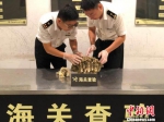 杭州海关关员清点查获的濒危珊瑚制品。　陆渊 摄 - 浙江新闻网