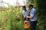 安吉县林业局严打非法捕鸟行为 - 林业厅