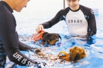 宠物也有“专属游泳馆” 杭州第一个，还有专业助教“伴游” - 杭州网