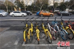 杭州街边的共享单车。　张煜欢　摄 - 浙江新闻网